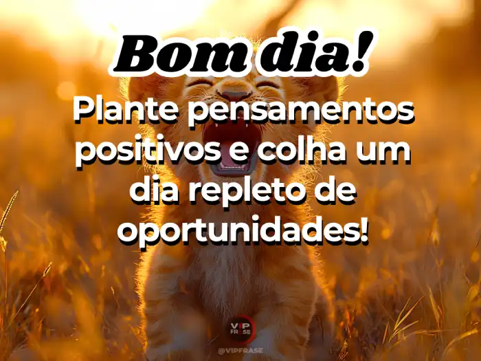 Mensagens de bom dia motivacional para inspirar você a aproveitar as oportunidades do novo dia.