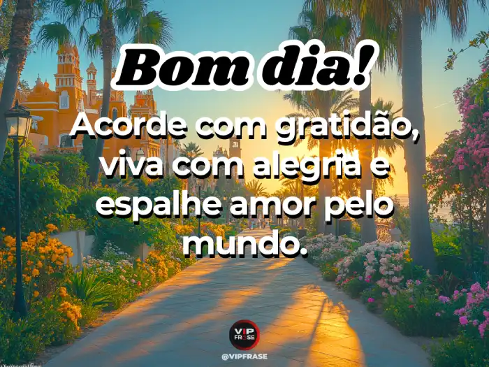 Frases de bom dia lindo com gratidão, alegria e amor para começar o dia.