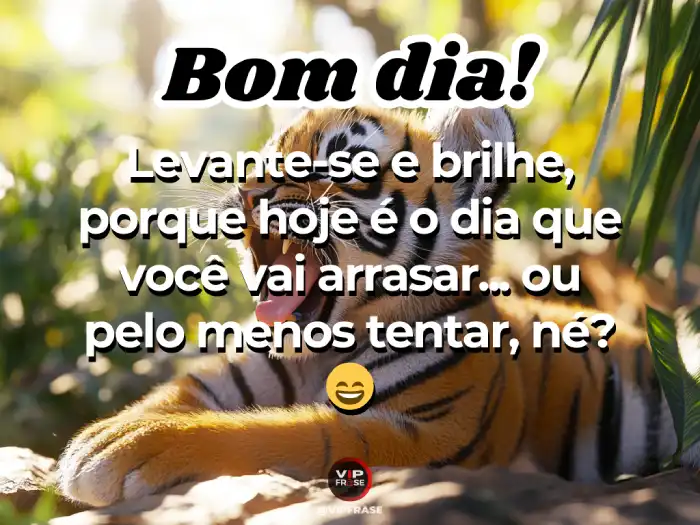 Mensagens de bom dia amigos para arrasar e começar o dia com energia e confiança.