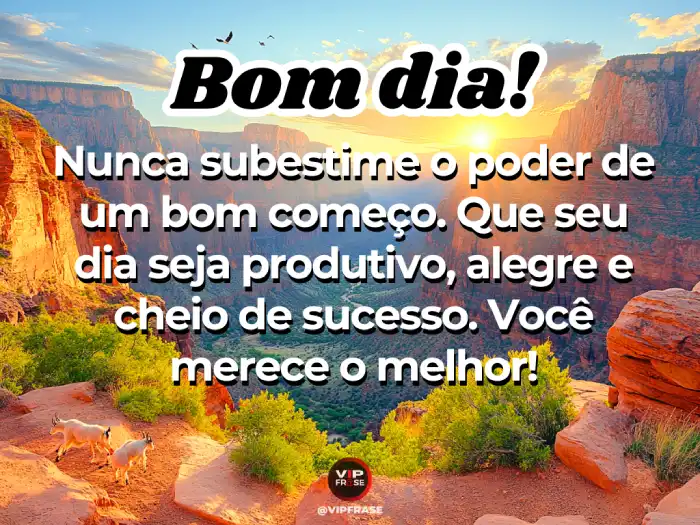 Mensagens de bom dia hoje: Seja produtivo, alegre e tenha um dia cheio de sucesso.