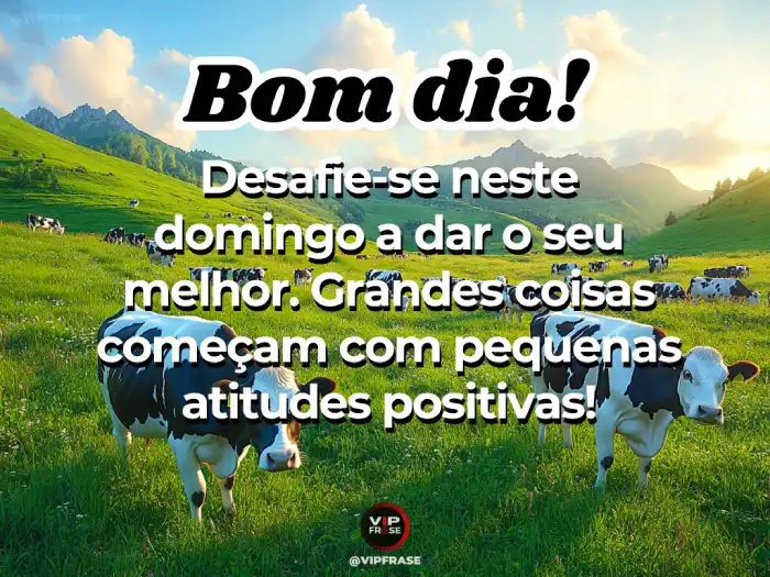 Mensagens de bom dia domingo: Dê o seu melhor com atitudes positivas desde o começo do dia