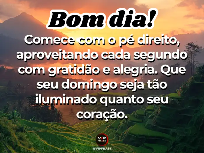 Mensagens de bom dia domingo iluminadas para encher seu coração de paz e alegria