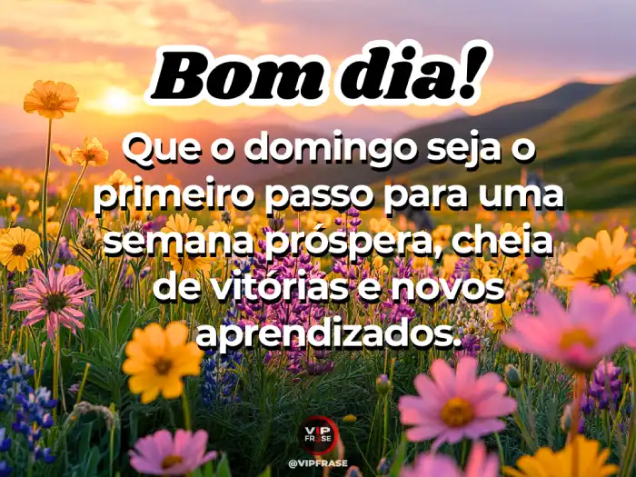 Mensagens de bom dia domingo: Uma semana próspera com vitórias e conquistas