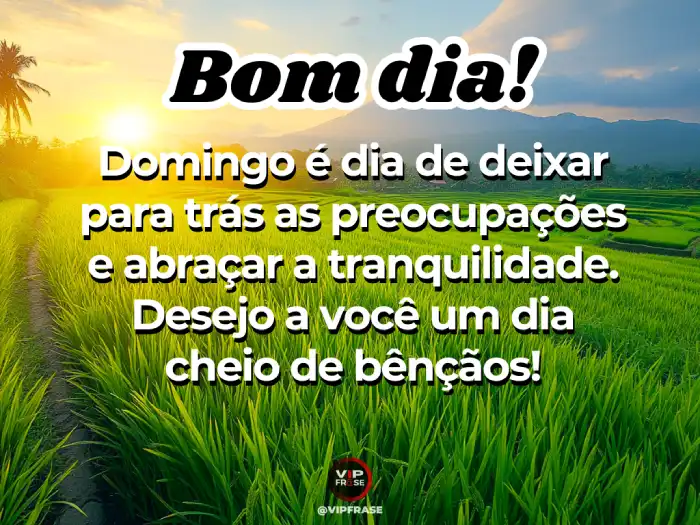 Mensagens de bom dia domingo trazendo tranquilidade e bênçãos para o seu dia