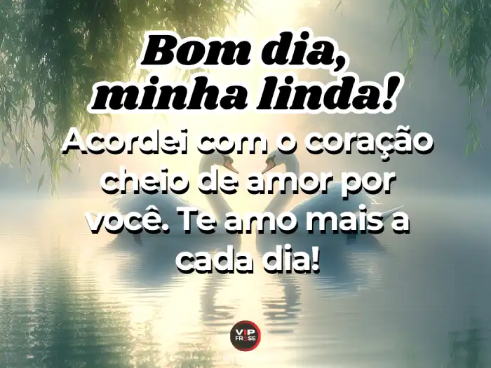Mensagens de bom dia meu amor: coração cheio de amor para começar o dia com carinho.