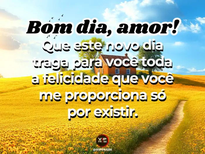 Mensagens de bom dia meu amor: felicidade de você existir.