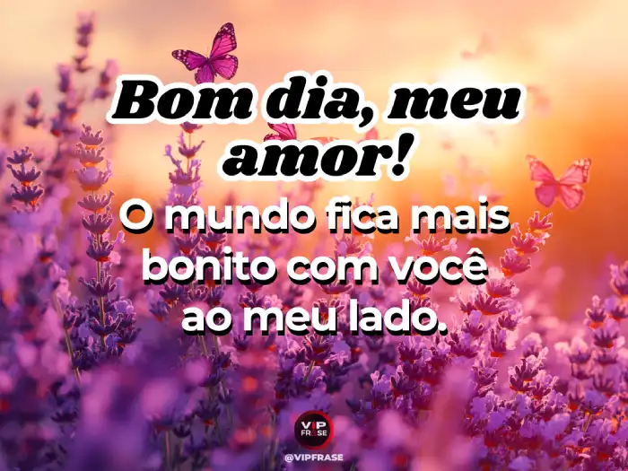 Mensagens de bom dia meu amor com um mundo mais bonito ao lado da pessoa amada, transmitindo felicidade e amor pela manhã.