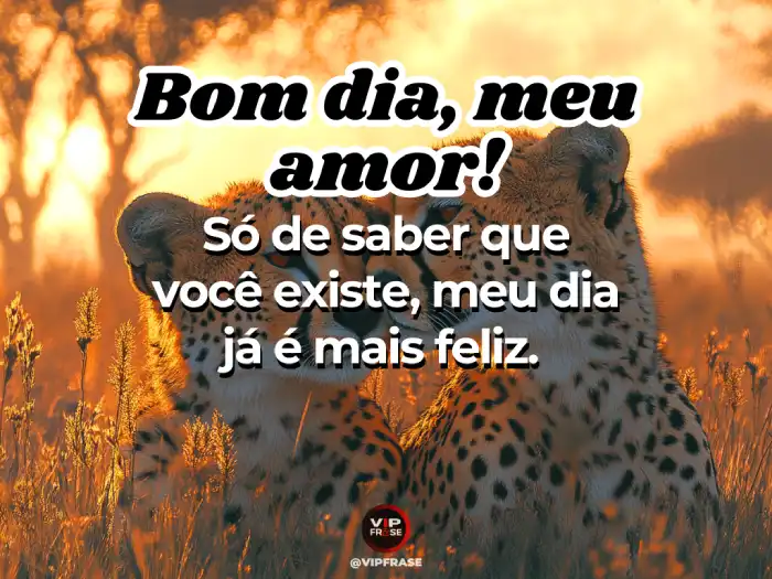 Mensagens de bom dia para o amor: Saber que você existe me faz mais feliz a cada amanhecer.