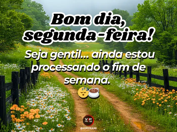 Mensagem de bom dia segunda feira com humor para começar a semana alegre.