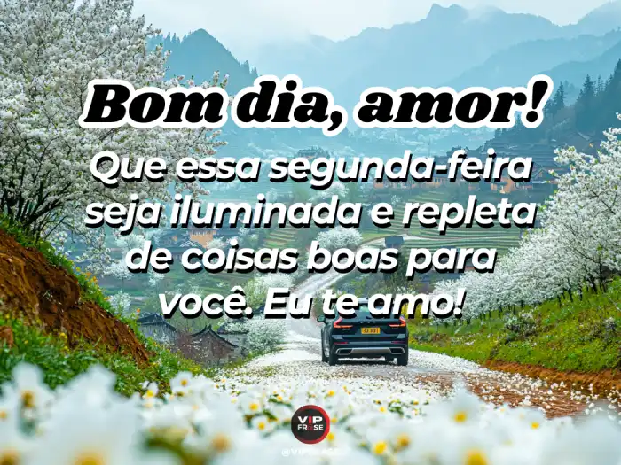 Mensagem de bom dia segunda feira, iluminada e com palavras de amor.