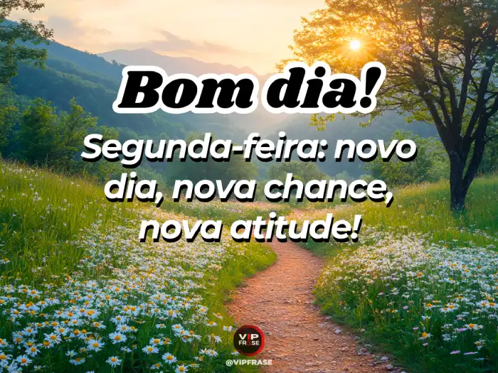 Mensagem de bom dia segunda feira, uma nova chance de atitude para a semana.