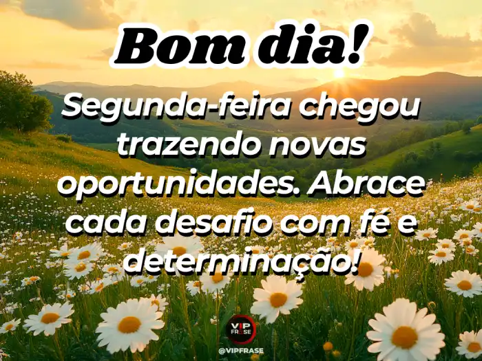 Mensagens de bom dia segunda feira, oportunidades, fé e determinação para começar a semana com energia positiva.