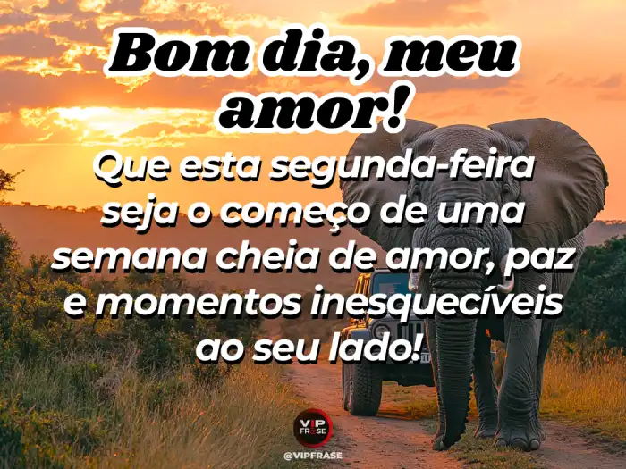 Mensagem de bom dia segunda feira para uma semana cheia de amor.