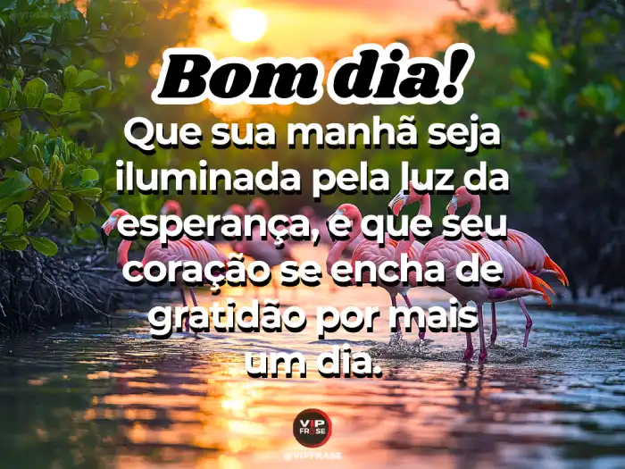 Imagem inspiradora com novas mensagens de bom dia para começar a manhã com luz e energia positiva.