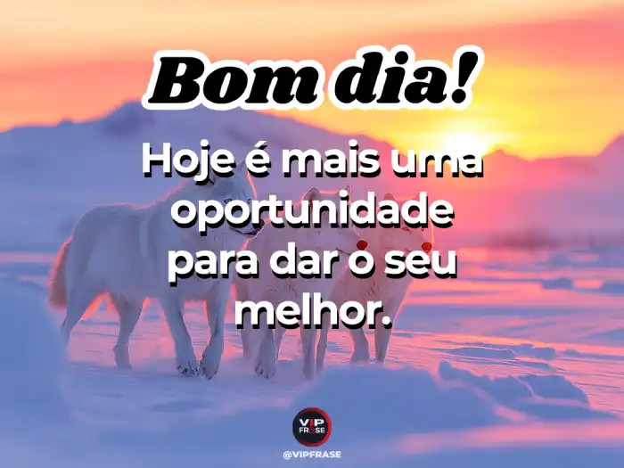 Novas mensagens de bom dia: Cada novo dia é uma oportunidade para dar o seu melhor.