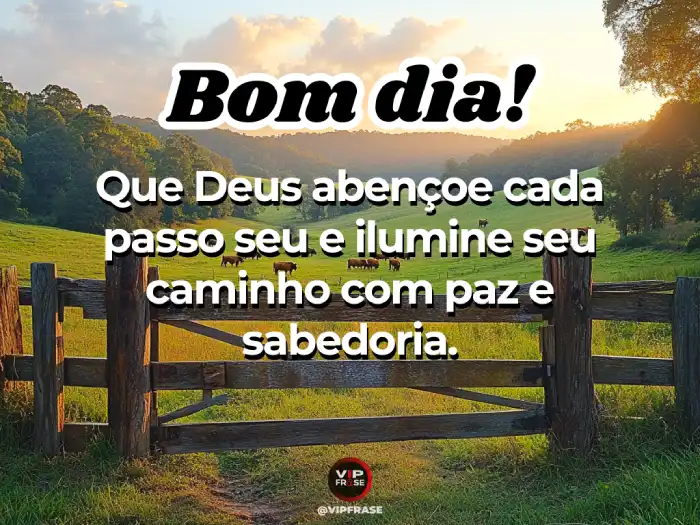 Novas mensagens de bom dia para WhatsApp - Que Deus abençoe e ilumine seu caminho