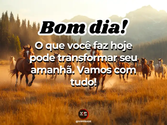 Novas mensagens de bom dia para WhatsApp - O que você faz hoje transforma o seu amanhã