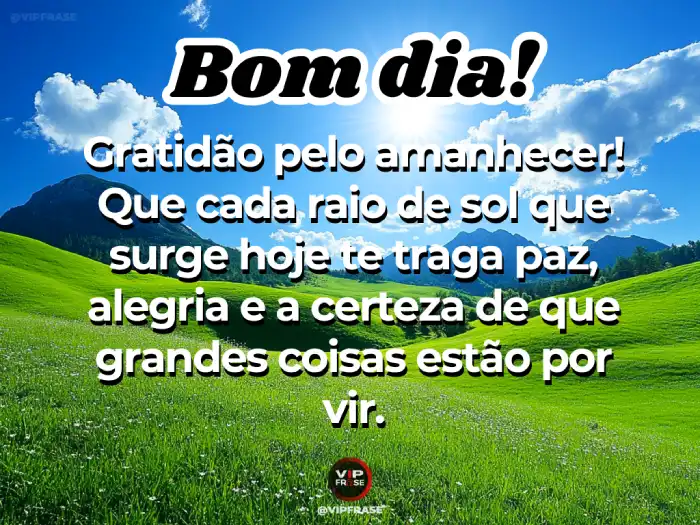 Novas mensagens de bom dia para WhatsApp - A gratidão pelo amanhecer traz grandes coisas