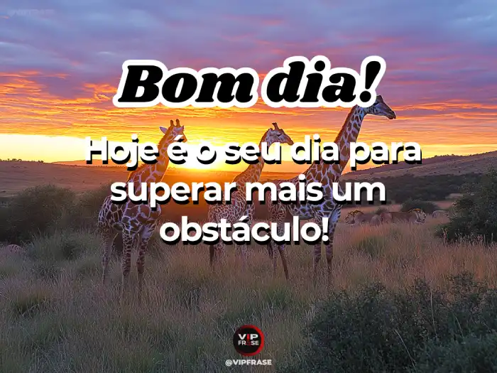 Frases para superar mais um obstáculo.