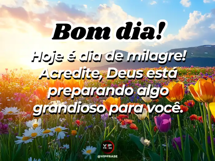 Abençoada mensagem de bom dia, lembrando que hoje é um dia de milagres e que você deve acreditar no impossível.