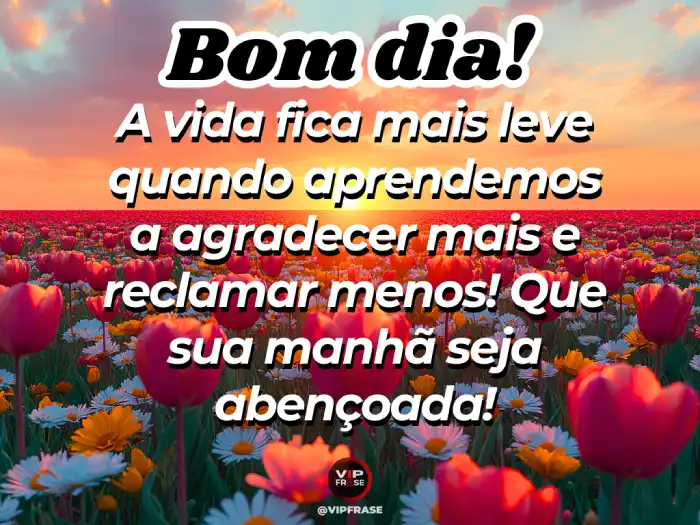Abençoado mensagens de bom dia, lembrando que a vida se torna mais leve quando agradecemos e reclamamos menos.