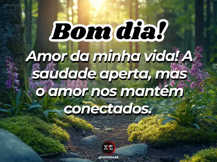 Mensagem de bom dia amor – Saudade aperta, nos mantém conectados
