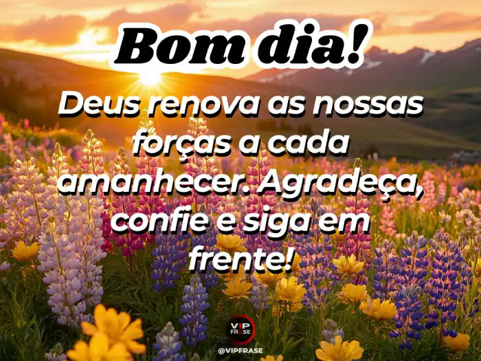 Mensagem de bom dia com carinho para Whatsapp – Deus renova nossas forças.