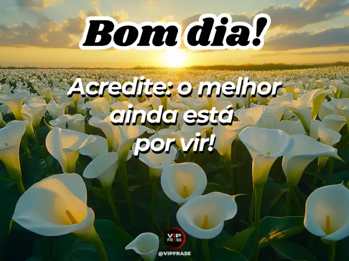 Frase – O melhor está por vir.