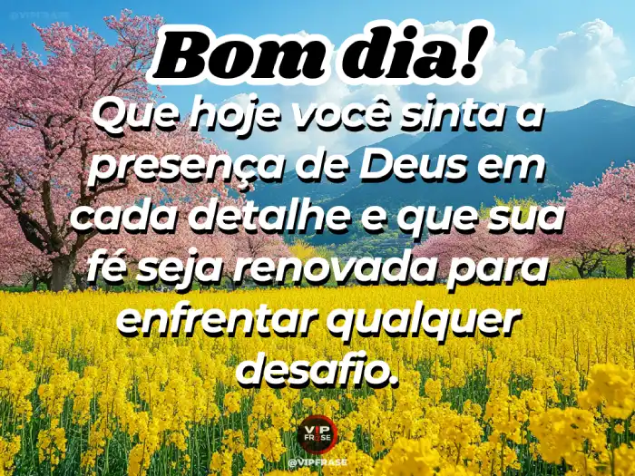 Mensagem de bom dia com Deus, sinta a presença divina em cada detalhe do seu dia