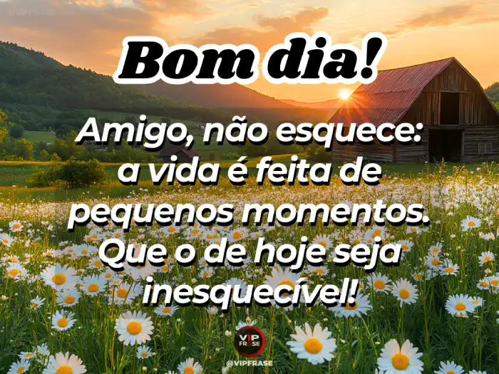 Mensagem de bom dia de hoje: amigo, faça deste dia algo inesquecível.