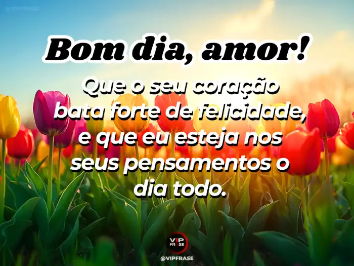Mensagem de bom dia de hoje: amor, coração bate forte pela felicidade.