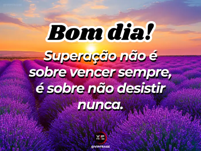 Mensagem de bom dia de hoje: superação, não desista nunca, continue firme.