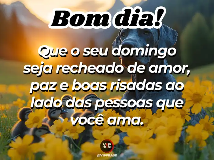 Mensagem de bom dia domingo com amor, paz e risadas, para compartilhar com quem você ama.