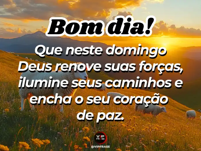 Frase, pedindo a Deus para renovar suas forças e trazer paz para o dia.