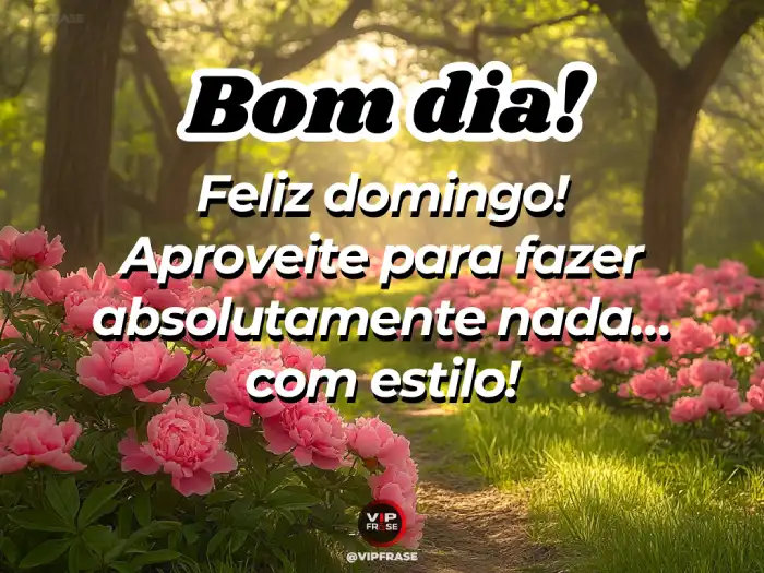 Mensagem de bom dia domingo feliz, com estilo, convidando a aproveitar o dia de forma única.