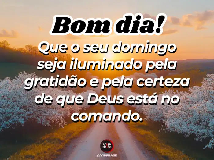 Frase iluminado, com gratidão e Deus no comando, trazendo paz e luz para o dia.