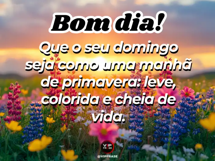 Mensagem de bom dia domingo leve, colorida e cheia de vida, perfeita para começar o dia com energia positiva.