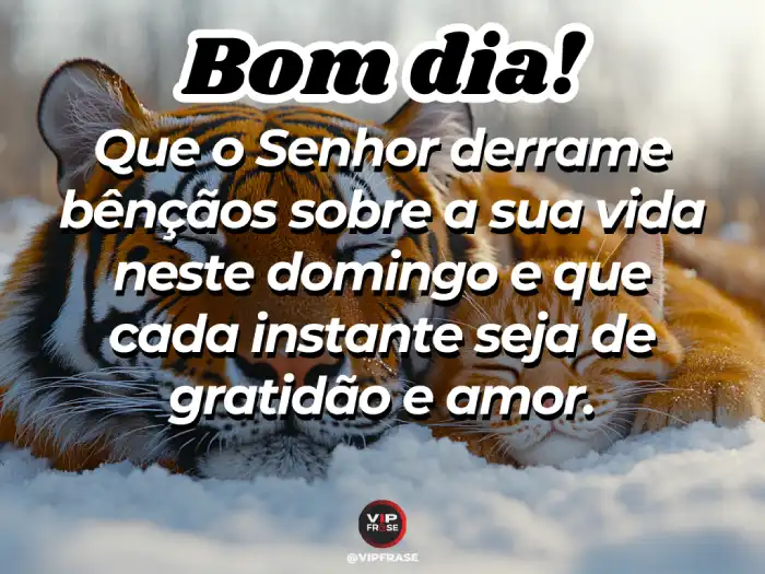 Mensagem de bom dia domingo, pedindo ao Senhor que derrame bênçãos sobre sua vida.