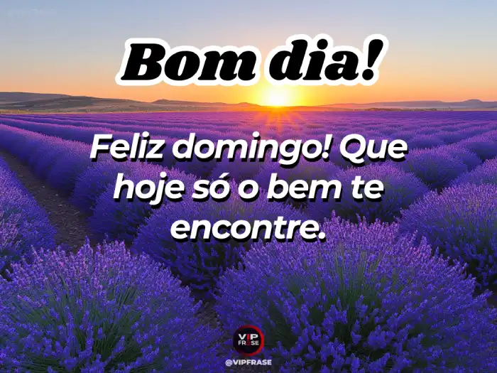 Mensagem de bom dia domingo, desejando que só o bem te encontre neste dia abençoado.