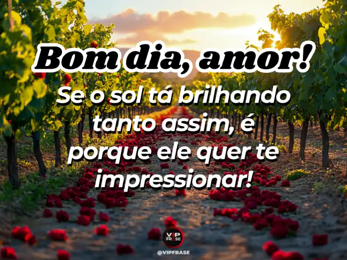 Mensagem de bom dia para namorado, sol brilhando, quer te impressionar.