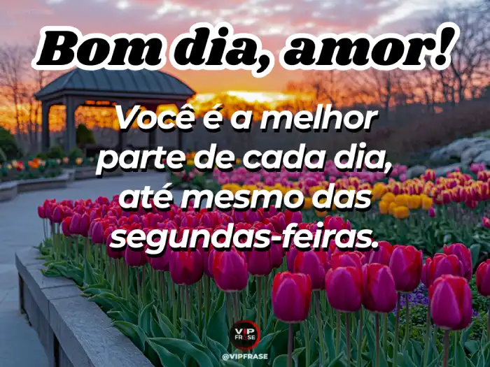 Mensagem de bom dia segunda-feira: amor, você é a melhor parte de cada dia.