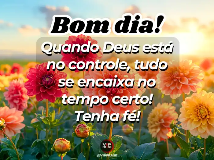 Mensagens de bom dia abençoada, pedindo a Deus para controlar tudo e fazer com que tudo se encaixe perfeitamente.