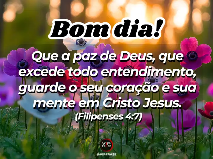 Mensagens de bom dia com a paz de Deus com o versículo de Filipenses 4:7 – "A paz de Deus guardará seu coração e sua mente".