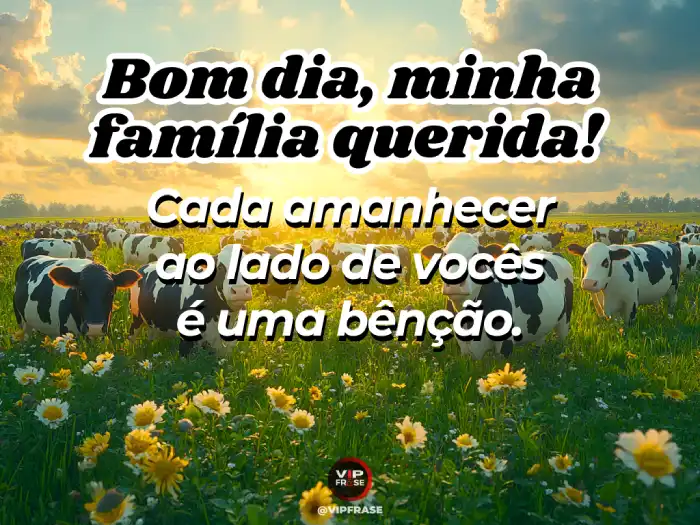 Mensagens de bom dia com carinho para WhatsApp, família e bênção.
