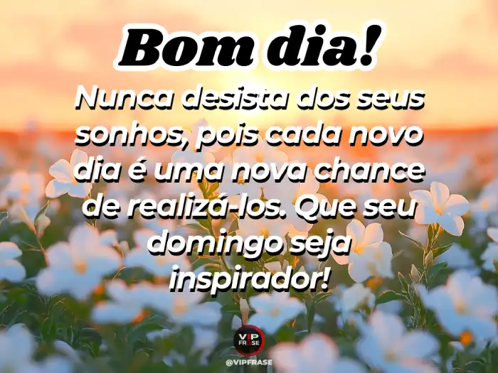 Mensagens de bom dia de domingo para nunca desistir dos seus sonhos e acreditar no impossível.