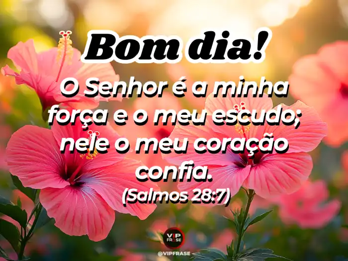 Mensagens de bom dia de domingo inspiradas em Salmos 28 - 'Senhor, minha força' para começar a semana com fé.