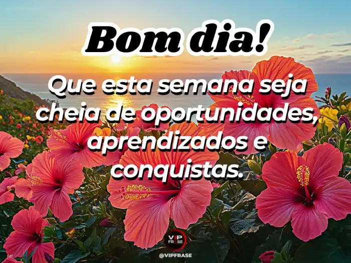 mensagens de bom dia e ótima semana, inspiração para começar a semana com energia positiva