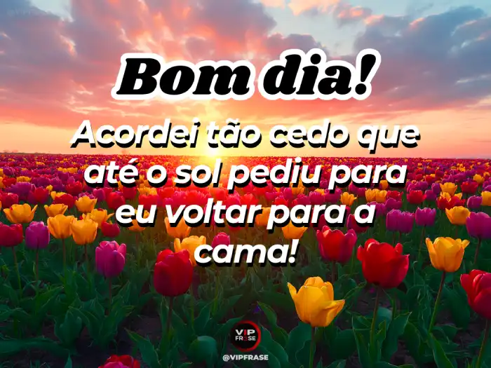 Mensagens de bom dia especial – Acordei tão cedo que meu humor ainda está carregando.