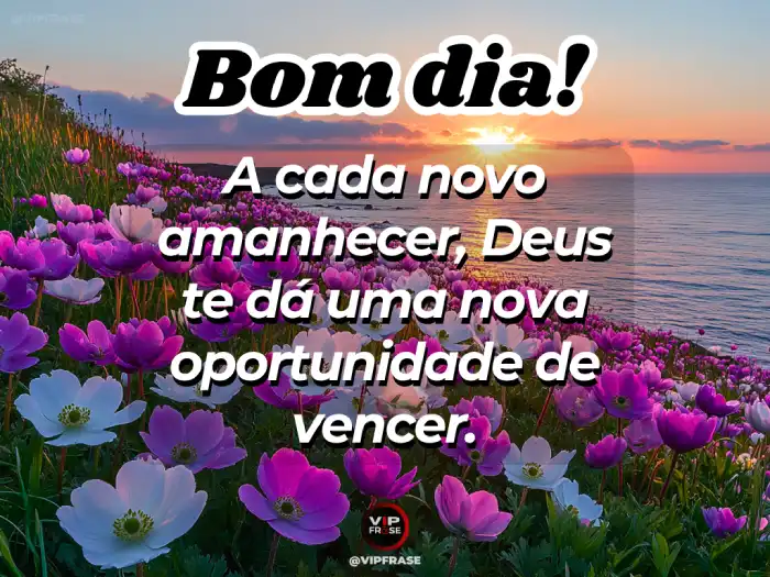 Mensagens de bom dia especial – O amanhecer é um presente de Deus, uma nova oportunidade para vencer.
