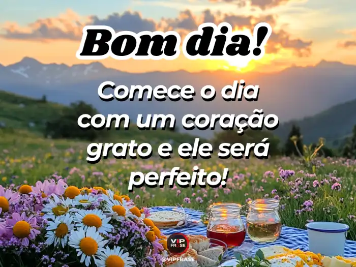 Mensagens de bom dia especial – Com um coração grato, cada dia se torna perfeito.